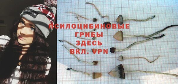 МДПВ Алексин