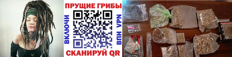 Псилоцибиновые грибы Cubensis  где продают наркотики  Игарка 